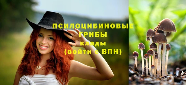 трава Абдулино