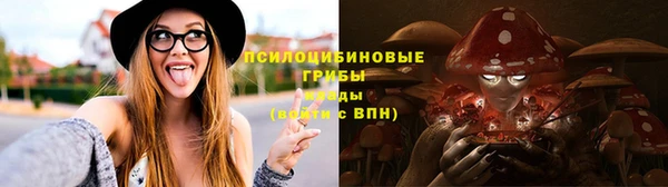 трава Абдулино