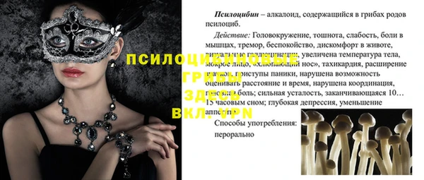 трава Абдулино